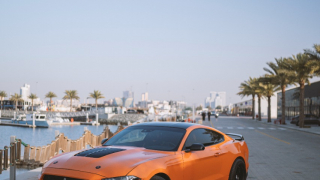 FORD MUSTANG gallery