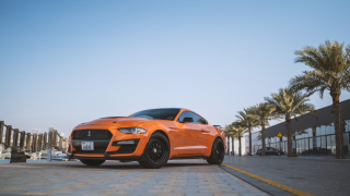 FORD MUSTANG gallery